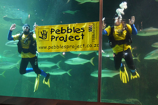 Pebbels Party 2012 in the Two Oceans Aquarium Capetown 